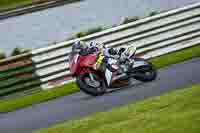 Middle Group Red Bikes